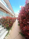 Image 6 of 7
