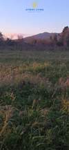 Image 6 of 8