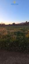 Image 7 of 8