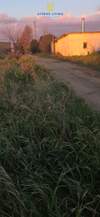 Image 5 of 8