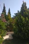 Image 4 of 11