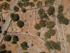 Image 5 of 8