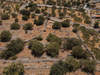 Image 3 of 8