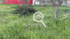 Image 5 of 7
