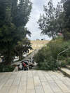 Image 11 of 15