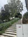 Image 12 of 15