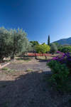 Image 15 of 34