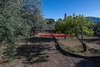 Image 12 of 34