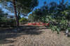 Image 19 of 34