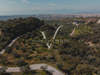 Image 7 of 8