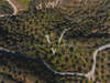Image 4 of 8