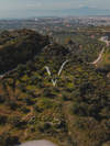 Image 6 of 8