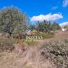 Image 6 of 13