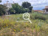 Image 2 of 4