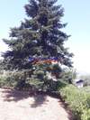 Image 5 of 18