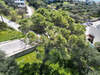 Image 11 of 15