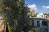 Image 5 of 9