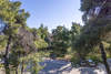 Image 7 of 16