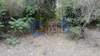 Image 8 of 11