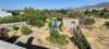 Image 10 of 13