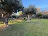 Image 2 of 5