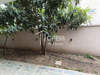 Image 2 of 11