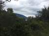 Image 12 of 26