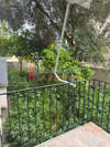 Image 16 of 17