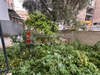 Image 14 of 17
