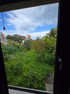 Image 35 of 40