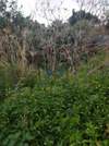 Image 10 of 11