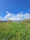 Image 9 of 13