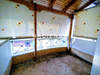 Image 10 of 11