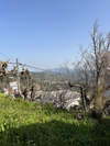 Image 12 of 18