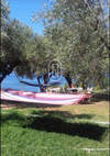 Image 5 of 15