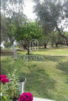 Image 9 of 15