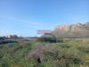 Image 3 of 8