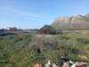 Image 4 of 8