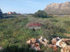 Image 6 of 8