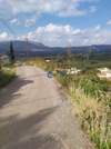 Image 2 of 8