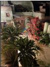 Image 2 of 7