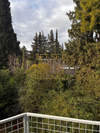 Image 5 of 11