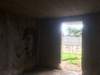 Image 10 of 13