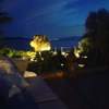 Image 4 of 12