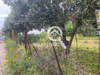 Image 2 of 5