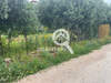 Image 4 of 5