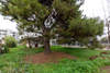 Image 9 of 10