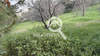 Image 4 of 16