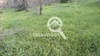 Image 14 of 16