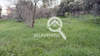 Image 12 of 16